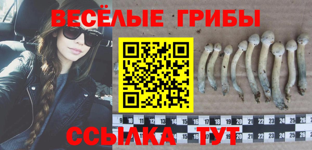 Псилоцибиновые грибы Cubensis  магазин    Кубинка  Вход с VPN 